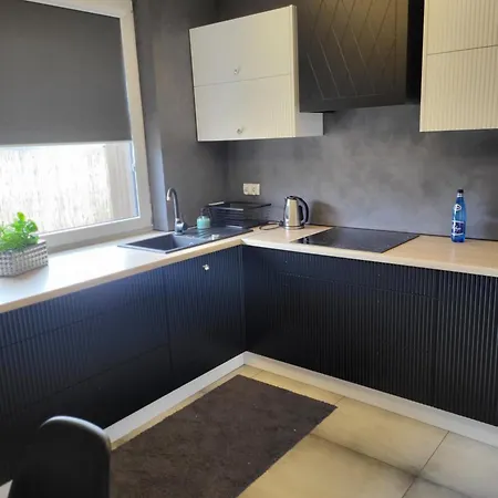 Rzucewska 87 Zelistrzewo