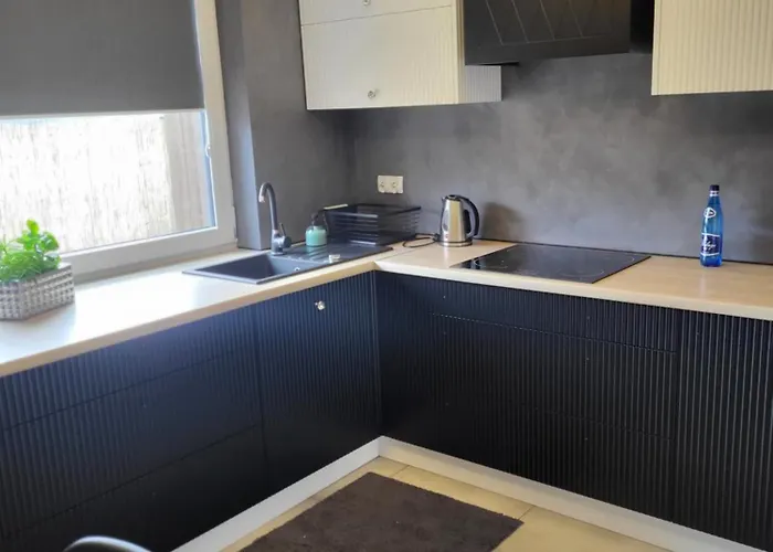 Rzucewska 87 Zelistrzewo