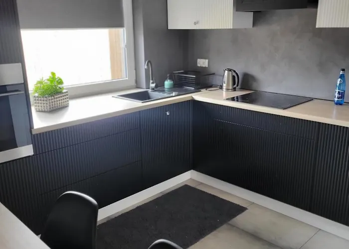 Rzucewska 87 公寓 *